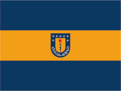 bandera UdeC